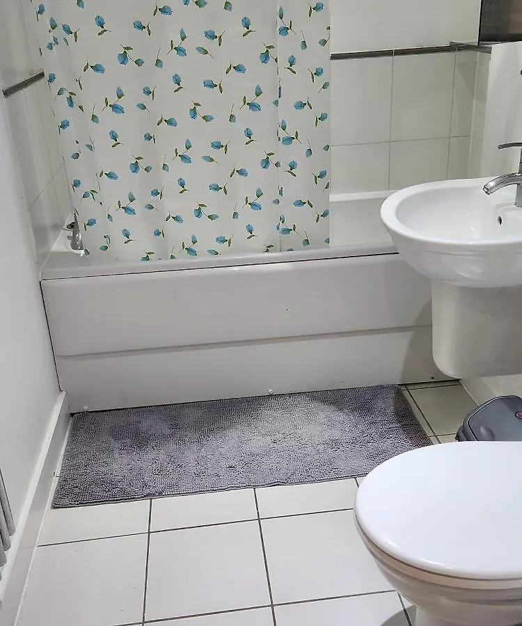 Luxury 2 Bed Apartment Excel London